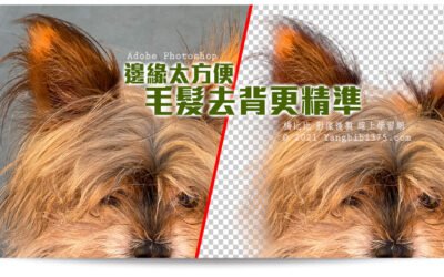 【學 Photoshop】使用邊緣 毛髮去背更精準、更快