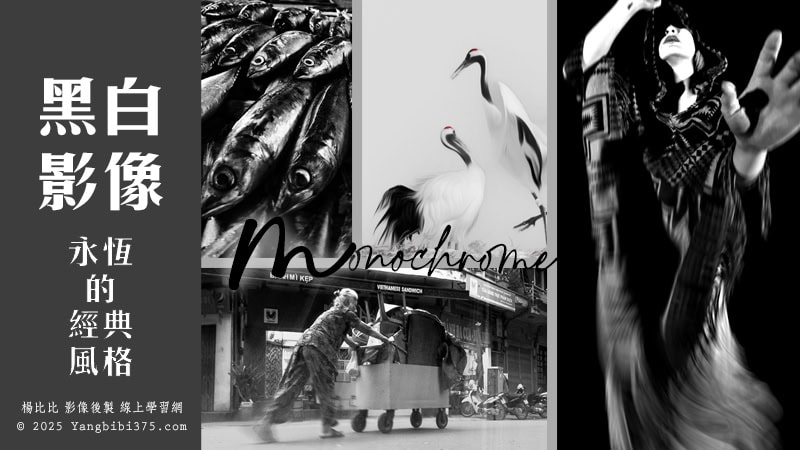 楊比比將透過 Photoshop 的各項實用技巧與濾鏡，表現充滿藝術氛圍的黑白影像，讓畫面不僅是無色，更充滿著藝術的力量。