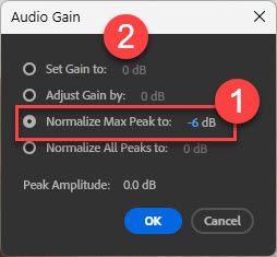 Audio Gain