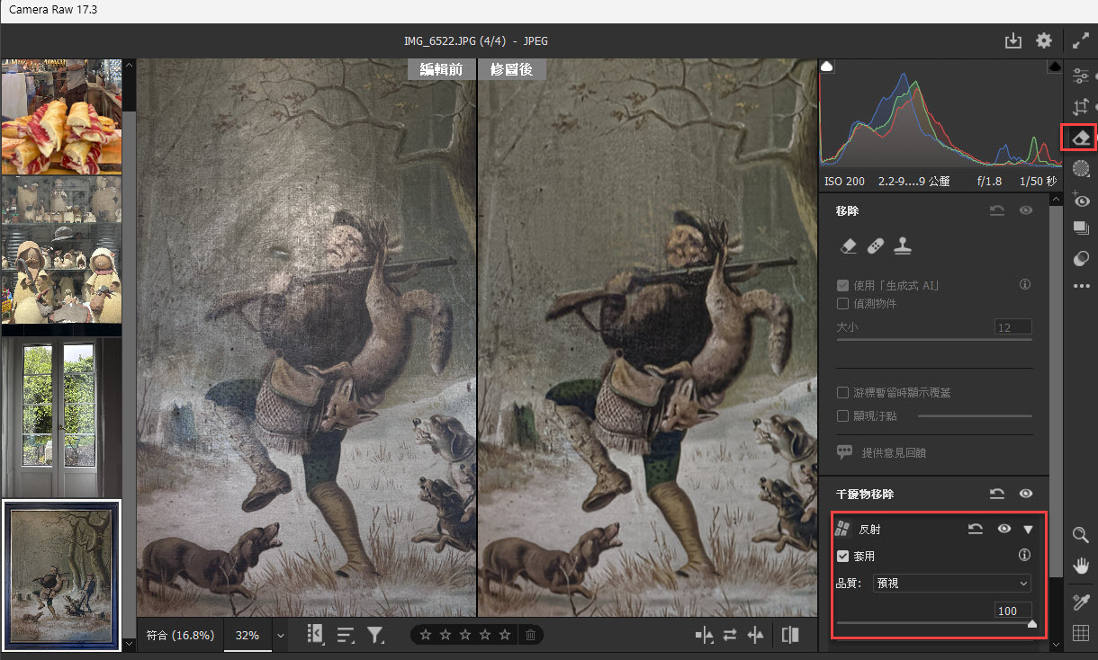 Camera Raw 17.3 更新干擾物移除