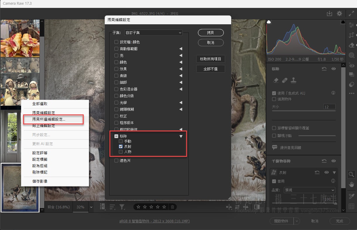 Camera Raw 17.3 更新干擾物移除