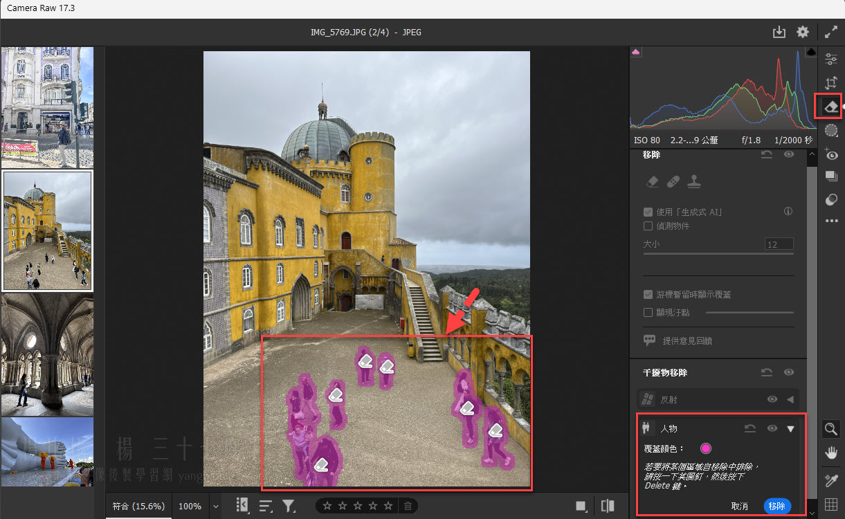 Camera Raw 17.3 更新干擾物移除