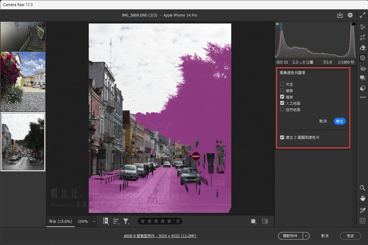 Camera Raw 17.3 風景遮色片