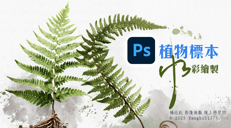 【學 Photoshop】水彩繪製植物標本