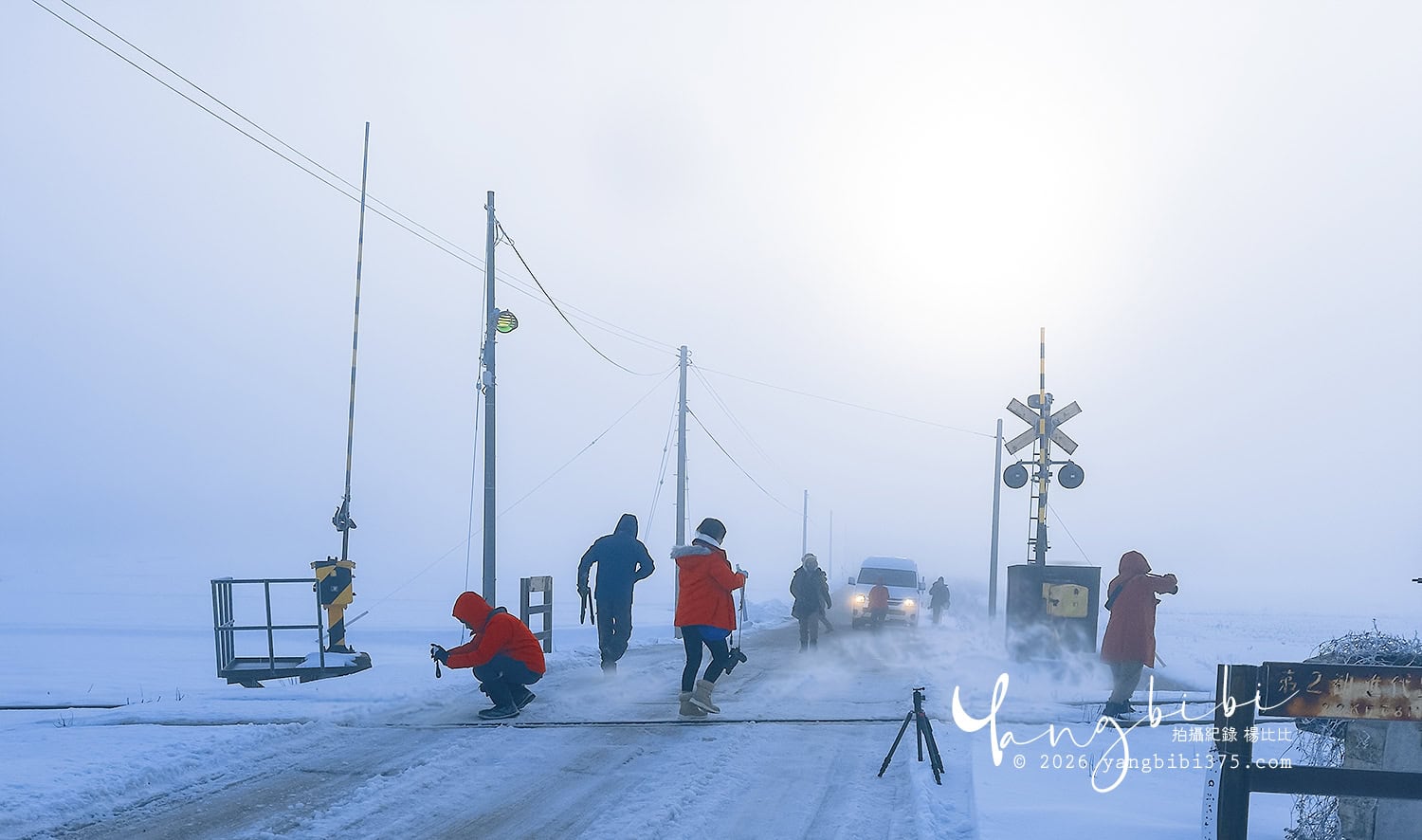 花絮 -花朵長井線