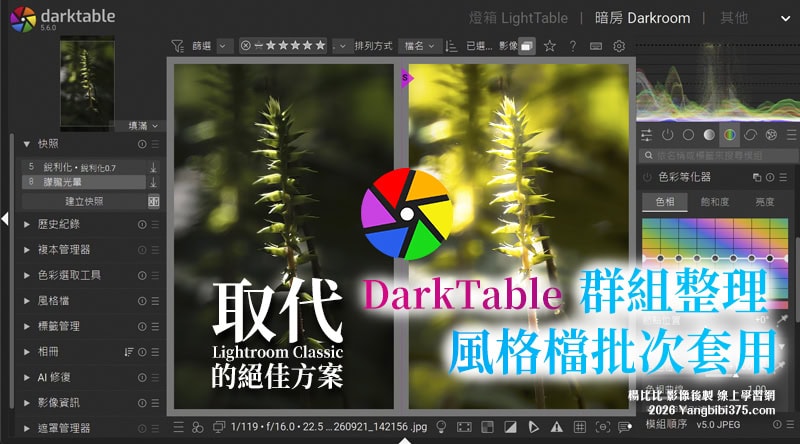 【學 darktable】群組管理＋風格檔批次套用｜讓照片整理與後製更有效率